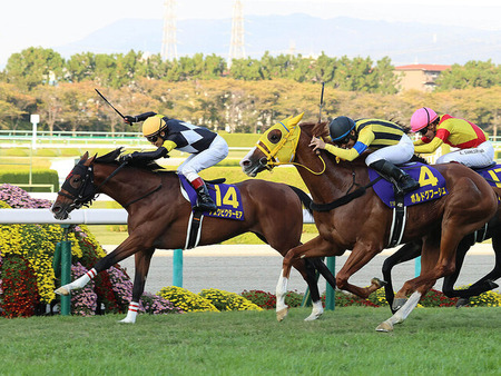 アスクビクターモア有馬記念へ 廣崎オーナー「一番得意なのは中山ですから」