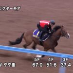 【菊花賞2022】追い切り/抜群の動きを見せたのは