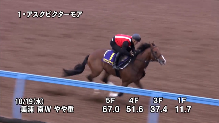 【菊花賞2022】追い切り/抜群の動きを見せたのは