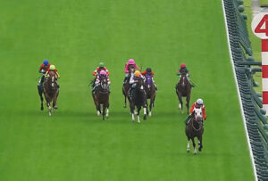 【サウジアラビアRC】ドルチェモア強すぎワロタwww グラニット大逃げもワロタwww