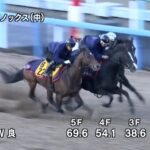 【天皇賞秋2022】追い切り/抜群の動きを見せたのは