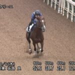 【京都大賞典2022】追い切り/追い切りが結果につながる
