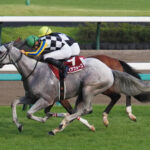 【競馬予想】[2]第83回菊花賞(GⅠ) /2022