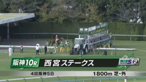 ●残念秋華賞西宮ステークス