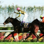 橋口元調教師「ダンスインザダークが理想のサラブレッド。古馬G1全部勝てたと思う」