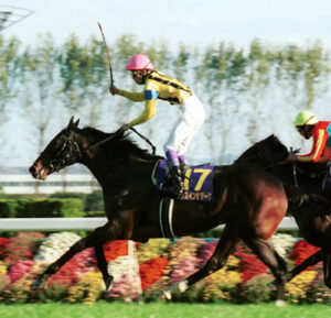 橋口元調教師「ダンスインザダークが理想のサラブレッド。古馬G1全部勝てたと思う」