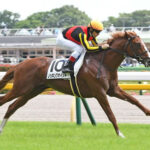 【競馬予想】第8回サウジアラビアロイヤルカップ(GIII) /2022