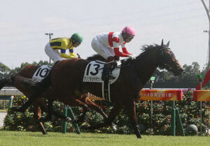 【2歳新馬】ダノンタッチダウン強すぎワロタ