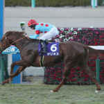 【競馬予想】[2]第73回毎日王冠(GⅡ) /2022