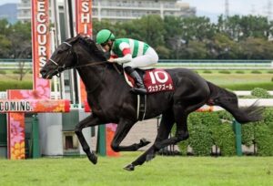 【京都大賞典】ヴェラアズール強すぎワロタwwwww