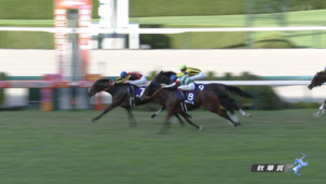 一番人気スターズオンアースwwww