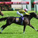 【競馬予想】[3]第27回秋華賞(GⅠ) /2022