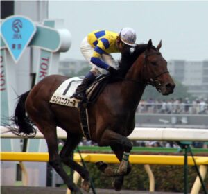 次にウマ娘に登場しそうな馬