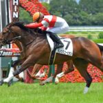 ダノンザキッドは香港カップ、ダノンスコーピオンは香港マイルへ どちらも川田以外の騎手が騎乗