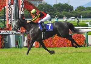 このコンビで見てみたいな、って騎手と馬は？