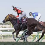 ジャックドールはミホノブルボンより強い