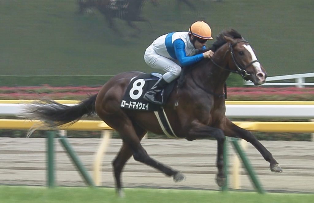 【競馬】チャンピオンズC　登録馬が全馬関西馬な件・・・