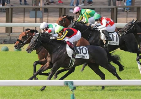 【ジャパンカップ】勝ち馬シャフリヤール以外ありえるの？