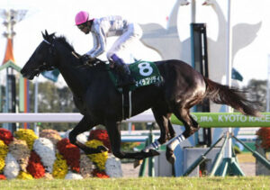 マイラプソディ(牡5)がひっそりと引退