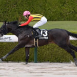 【競馬予想】[1]第23回チャンピオンズカップ(GI) /2022