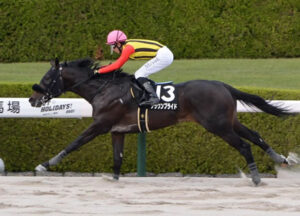 【競馬予想】[1]第23回チャンピオンズカップ(GI) /2022