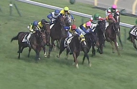 【競馬】クリノドラゴン新馬戦18番人気(単勝382倍)の16着、勝ち馬シャフリヤール・・・28戦目で浦和記念制覇