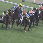 【競馬】海外種牡馬の来年の種付け料が発表 ドバウィ 5740万円、フランケル 4510万円、フライトライン2760万円、バーイード1312万円など 日本てショボいなw