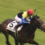 【競馬】第39回マイルCS(GI) 今回マジ⑤⑥⑦サイン馬券くるぞ!!!!!!!