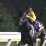 【競馬・ジャパンC】ヴェルアズールこれとんでもない化け物、既に歴代日本馬超えたかもしれん