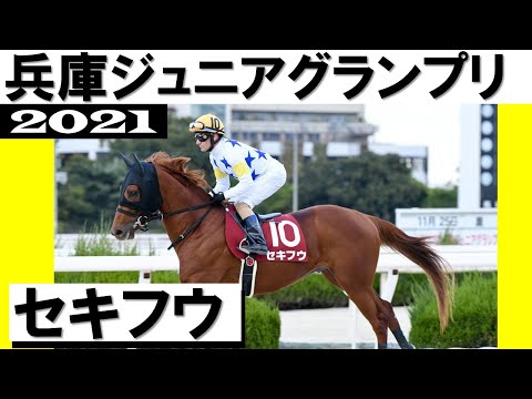 セキフウが３連勝で重賞初制覇！【兵庫ジュニアグランプリ2021】