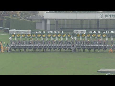 2022 Queen Elizabeth II Cup (G1) | JRA Official