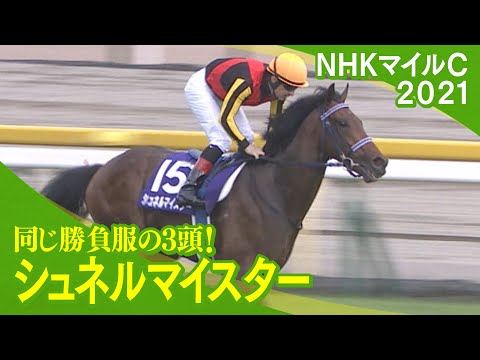 【マイルCS 2022】有力馬のＧⅠ初制覇の瞬間をプレイバック！（シュネルマイスター）