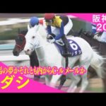 【マイルCS 2022】有力馬のGⅠ初制覇の瞬間をプレイバック!(ソダシ)