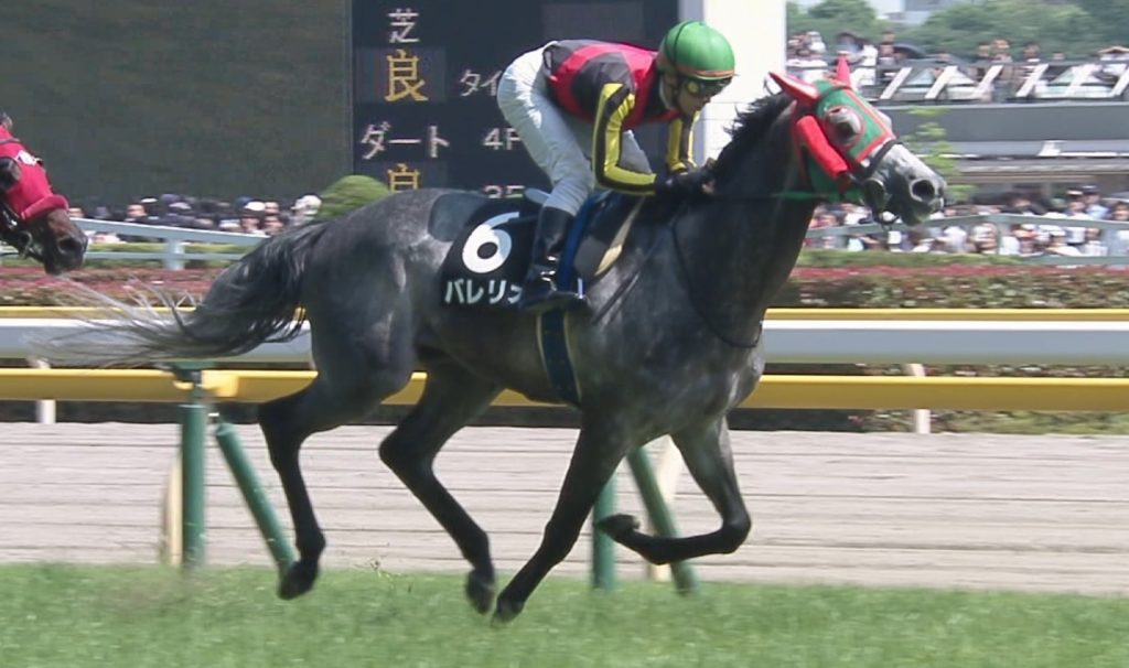 【競馬】東スポ杯3着のハーツコンチェルト、5着のフェイトがホープフルSへ！