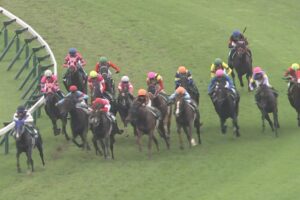 【競馬】訃報・・トーセンスーリヤ予後不良