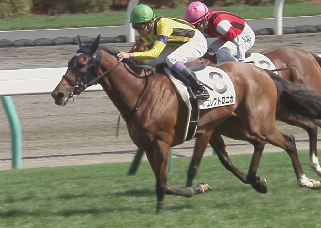 【競馬・アルゼンチン共和国杯】キングオブドラゴン危なすぎるwwwwwwwwwwww