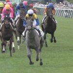 【競馬】赤松賞6頭、秋明菊賞5頭・・・