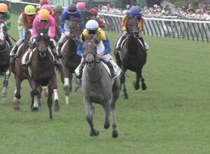 【競馬】赤松賞6頭、秋明菊賞5頭・・・