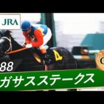 1988年 ペガサスステークス(GⅢ) | オグリキャップ | JRA公式