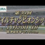【レーシングプロファイル】2022年 マイルチャンピオンシップ|JRA公式