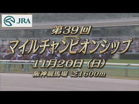 【レーシングプロファイル】2022年 マイルチャンピオンシップ｜JRA公式