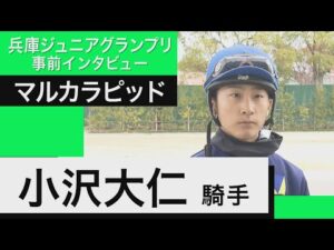 小沢大仁騎手《マルカラピッド》【兵庫ジュニアグランプリ 事前インタビュー】（11月24日(木)園田競馬場）