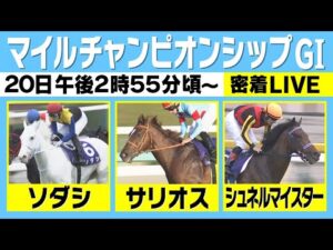 【マイルＣＳ（GⅠ） ライブ】豪華メンバー集結のマイル王決定戦！有力馬に密着 《マイルチャンピオンシップ 2022》
