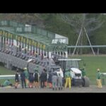 2022 MILE CHAMPIONSHIP (G1) | JRA Official