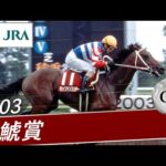 2003年 金鯱賞(GⅡ) | タップダンスシチー | JRA公式