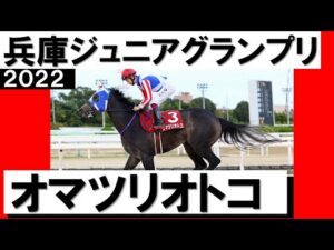 オマツリオトコが重賞初制覇！横山武史騎手が導く【兵庫ジュニアグランプリ】
