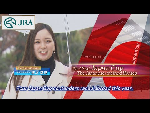 2022 Japan Cup (G1) Training Report of Japanese Contenders | JRA Official [ENG sub]