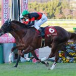 セリフォスの半馬身前にドウデュースがいる