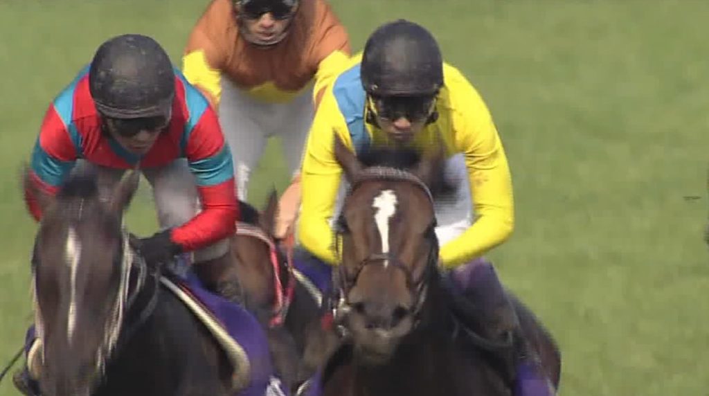 【競馬】悲報・・ジャンポケ斉藤の「オマタセシマシタ」デビューから8連敗で境地…　馬は大人気も門別開催終了