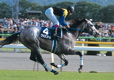 名前が1番かっこいい競走馬はなにか